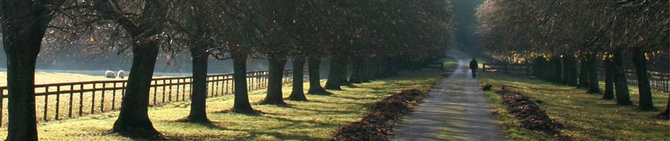 Valibo Nurseries